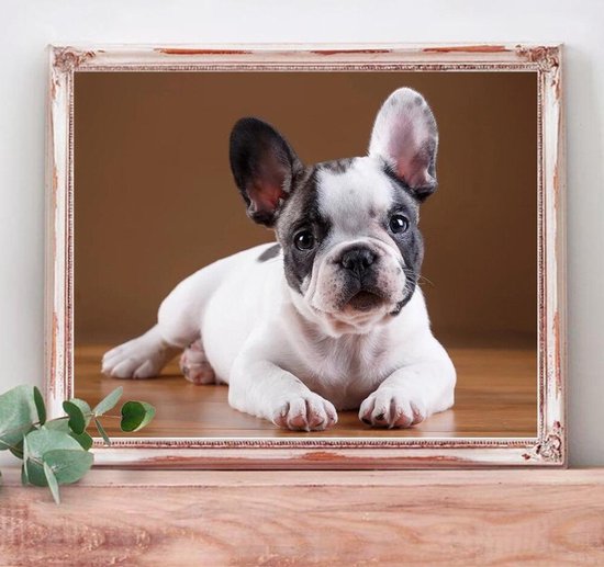 Diamond Painting Hond - Vierkante steentjes - Volledige dekking -  Hobbypakket - 40x30 cm | bol