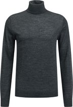 WE Fashion Heren merinowollen coltrui -Maat XS
