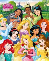 Disney Princess - Poster 40 x 50 cm