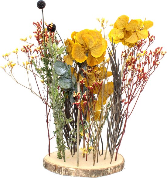 Droogbloemen inclusief boomstam Dried Flowers | Workshop | Geel | Gedroogde bol.com