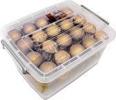 Lifetime Kerstballen set in box - 70 ballen - Plastic / Kunststof | Goud