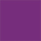 Couleur du textile. violet néon. 50 ml [HOB-342270]