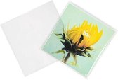 Zakken Milieuvriendelijk ECO 17x16.7cm Sealbaar (100 stuks)