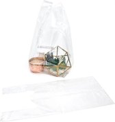 Plastic Draagtas Transparant 2,54x2,54x5,46cm (100 Stuks) [CHB3]