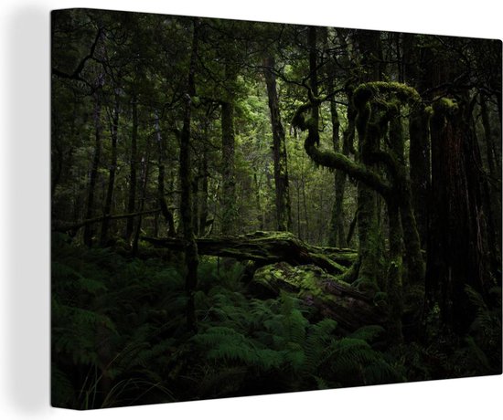 Jungle Schilderij - Boomstam - Planten - Canvas - Natuur - 120x80 cm - Muurdecoratie