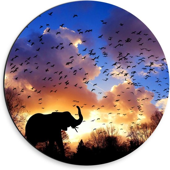 Dibond Wandcirkel - Olifant in Bossen met Vogels - 30x30cm Foto op Aluminium Wandcirkel (met ophangsysteem)