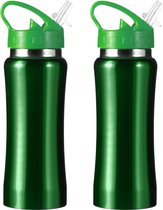Set van 2x stuks drinkfles/waterfles 600 ml metallic groen van RVS - Sport bidon waterflessen