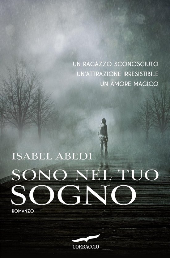 Sono nel tuo sogno - cover