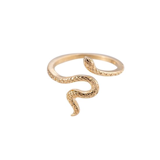 Isaac kooi idioom Slang Ring - Dames Ringen -14 K Verguld - Een Maat - adjustable size |  bol.com