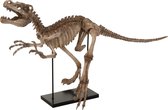 J-Line Dinosaurus Raptor Op Voet Poly Lichtbruin L 50 x B 50 x H 45 cm