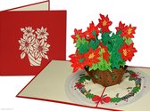 Popcards popupkaarten - Kerstkaart Kerstroos Kerstster met Kerstkrans feestdagenkaarten pop-up kaart 3D wenskaart