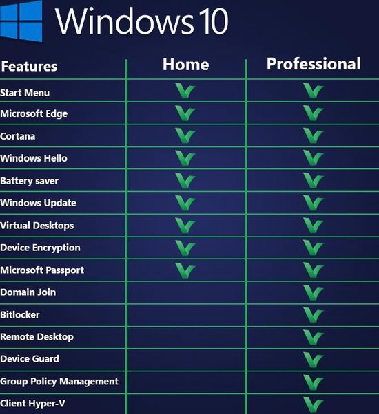 WINDOWS 10 PRO FPP 32/64 USB - Engelstalig