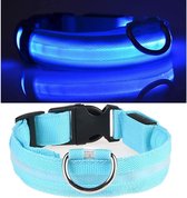 IGOODS Blauw LED hondenhalsband - Super Bright Safety Pet Collar - Halsband voor hond met ledlamp - verhoogde zichtbaarheid