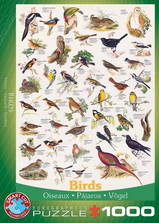 Puzzel - Birds (1000) | bol.com