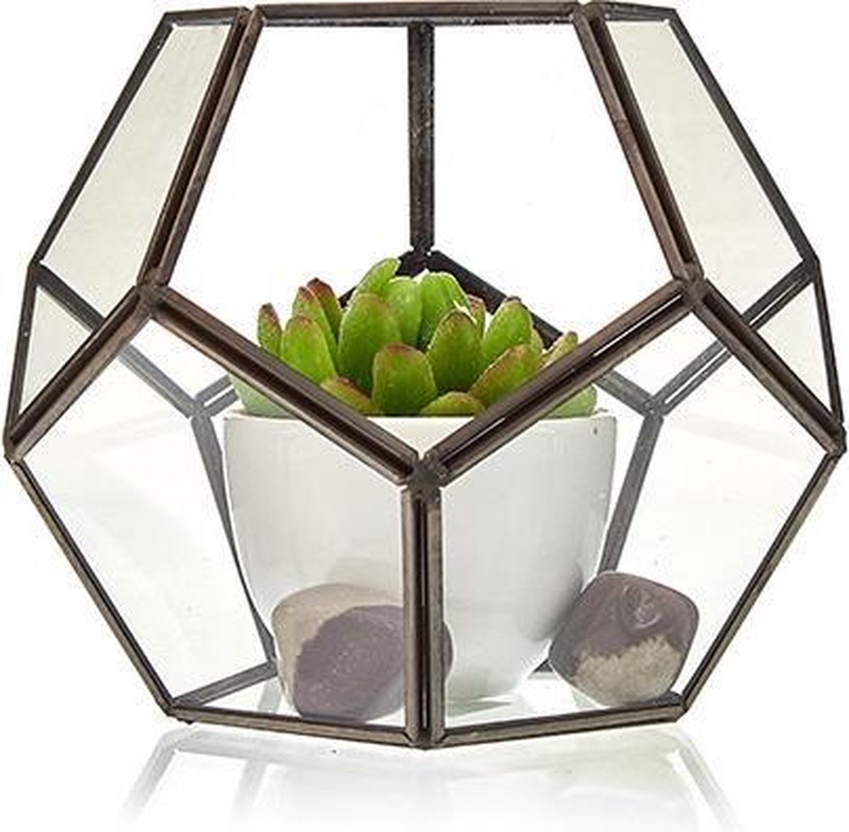Glazen terrarium - grote achthoek
