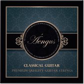 Cordes Áengus nylon pour guitare classique Coated Silver - Nylon / Silver - set .028 à .043