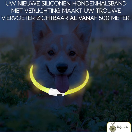 Professor Q LED Halsband Hond USB Oplaadbaar