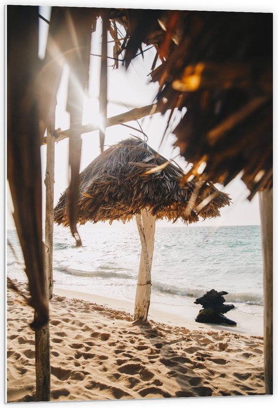 Forex - Riete Hutje op Strand - 60x90cm Foto op Forex