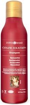 Surya Brasil Color Fixation Shampoo 250ml