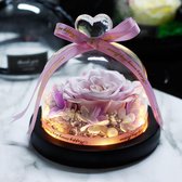 Onsterfelijke Roos in Glas – Paars - Moederdag – Valentijn Cadeautje – Huwelijk – Roos in Glas – Decoratief