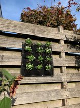 Plantenzak 3x4 - Verticale tuin - Ophangbare plantenzak - Plantenhanger - Plantentas - Kweekzak - Plantenzak voor binnen en buiten - Zwart - 12 vakken - 50x50cm