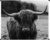Wandkleed highlander zwart wit | Wanddoek Schotse hooglander koe grijs 146 x 110 cm