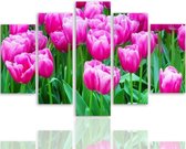Schilderij , Roze Tulpen , 4 maten , 5 luik , Roze groen , Premium print , XXL