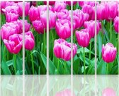 Schilderij , Roze Tulpen , 4 maten , 5 luik , Roze groen , Premium print , XXL