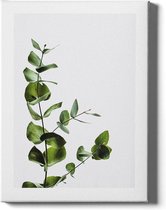 Walljar - Eucalyptus - Muurdecoratie - Canvas schilderij
