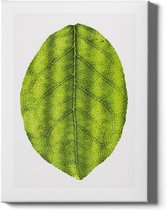 Walljar - Leaf - Muurdecoratie - Poster met lijst