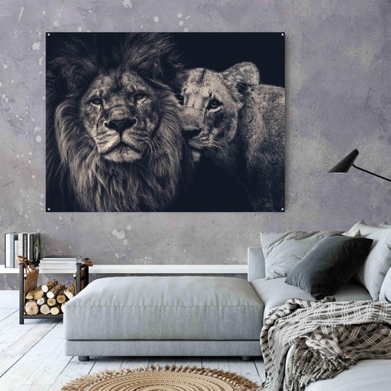 Schilderij - Plexiglas 70x50cm inclusief ophangsysteem - Leeuwen - Zwart wit -  Muurdecoratie