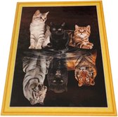 Diamond Painting Set - Cats imagination - 40x30cm