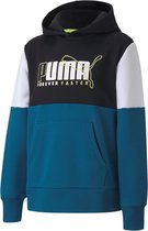 PUMA Alpha Hoodie FL Trui Jongens - Maat 164