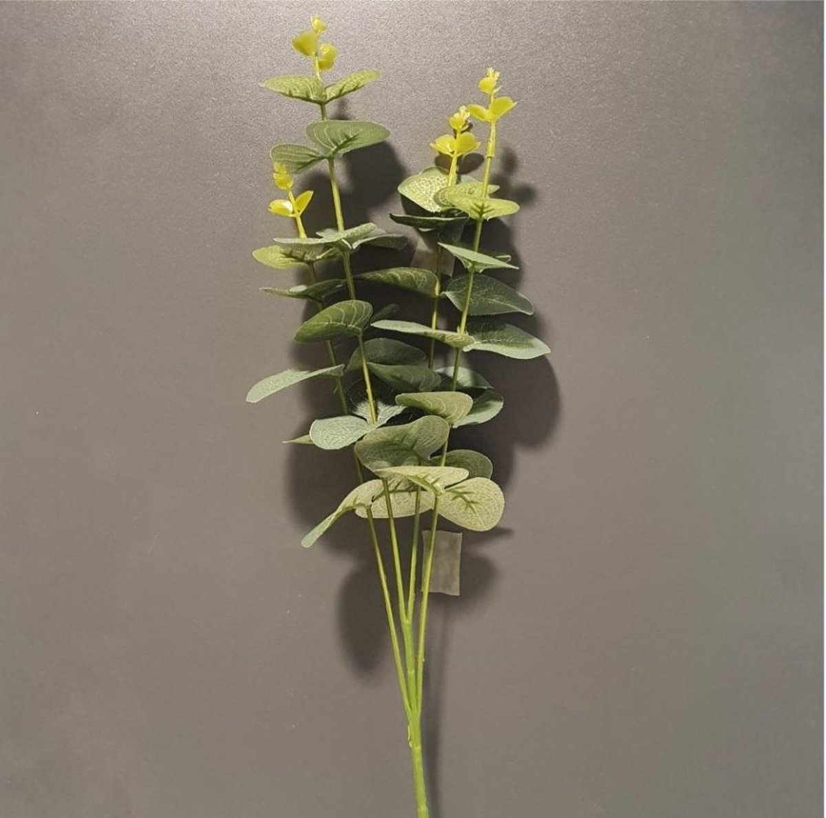 Eucalyptus kunst tak