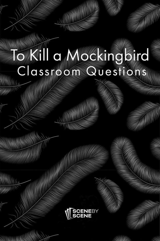 To Kill a Mockingbird Classroom Questions - cover