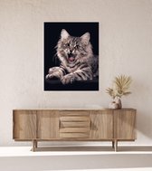 JDBOS ® Schilderen op nummer Volwassenen met frame (hout) - Schreeuwende kat - Verven volwassenen - 40x50 cm