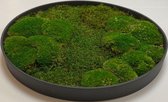 Mosschilderij Julia Vulcano Black ø 50 cm Platmos-Bolmos