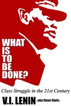 What Is To Be Done? Class Struggle in the 21st Century
