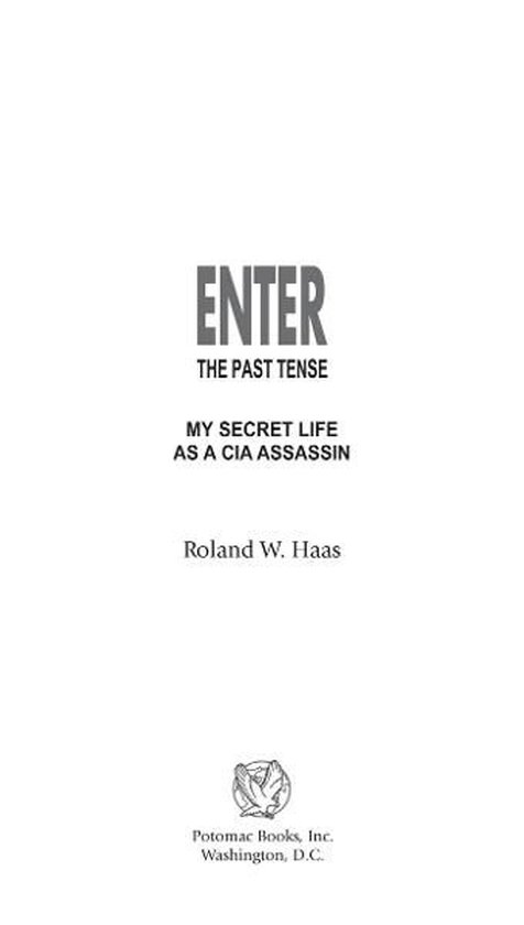 Enter the Past Tense - cover