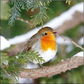 Ambiente - Servetten - Robin in Tree - 25 x 25 cm