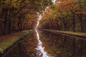 Herfsttunnel op aluminium