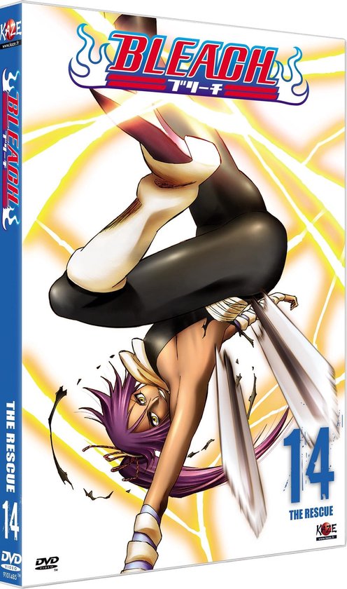 Bleach 14