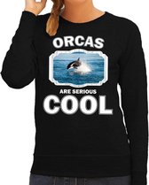 Dieren orka s sweater zwart dames - orcas are serious cool trui - cadeau sweater orka/ orka vissen liefhebber XL