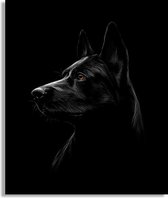 Foto op geborsteld aluminium - Zwarte herder hond - Zwart wit met bruine ogen - Foto op dibond schilderij -  Zwarte Duitse herder - 60x50 cm