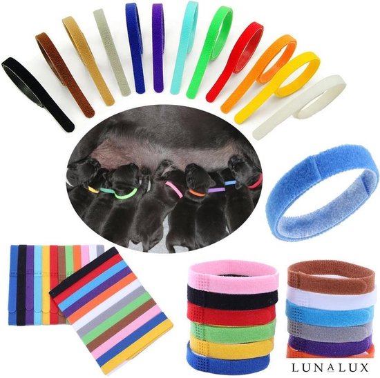 Puppy halsbandjes - Puppy ID - Puppy collars - 12 stuks - bandjes voor puppy's - onderscheid bandjes hond -