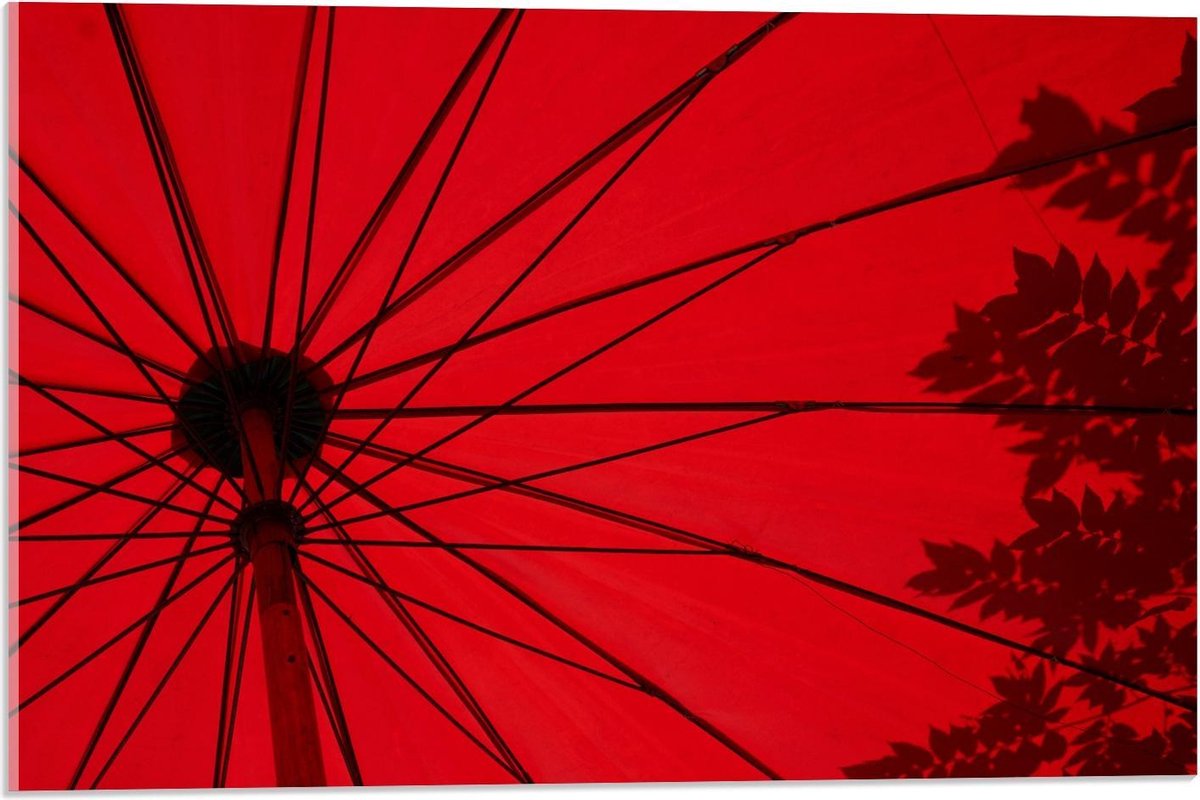 Acrylglas - Rode Parasol - 60x40cm Foto op Acrylglas (Met Ophangsysteem)