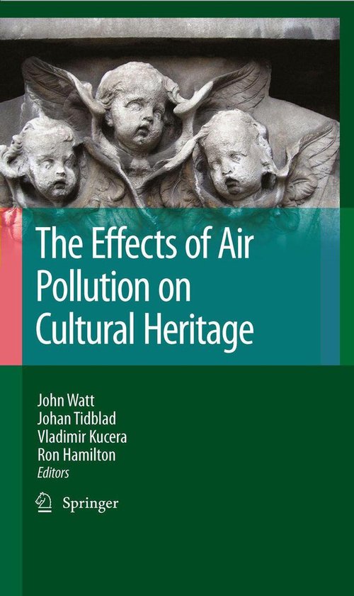 The Effects of Air Pollution on Cultural Heritage - cover