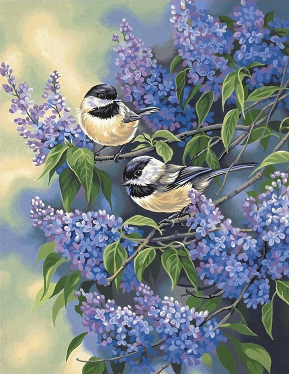SEOS Shop ® Diamond Painting Pakket Vogels in een boom - Volledig - Diamond Paintings - 40x40 cm - Vierkant