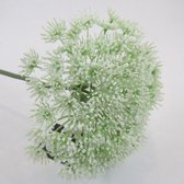 Kunstbloem, berenklauw, wit, 75 cm: kunststof, set van 2 stuks