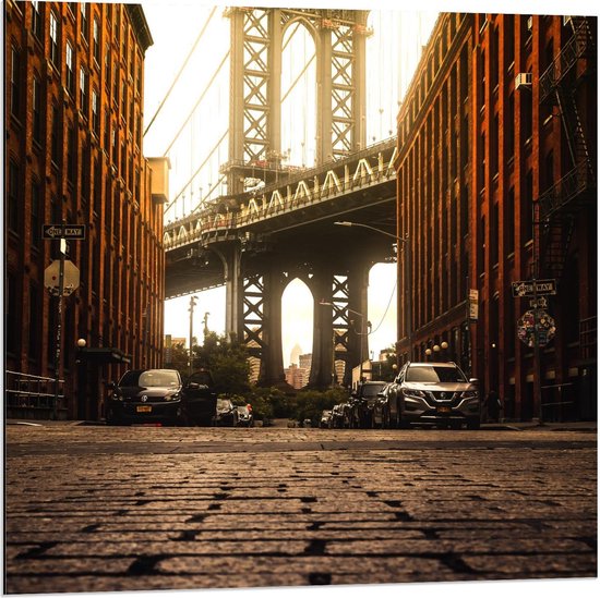 Dibond - Brooklyn Bridge Park - New York - 80x80cm Foto op Aluminium (Wanddecoratie van metaal)